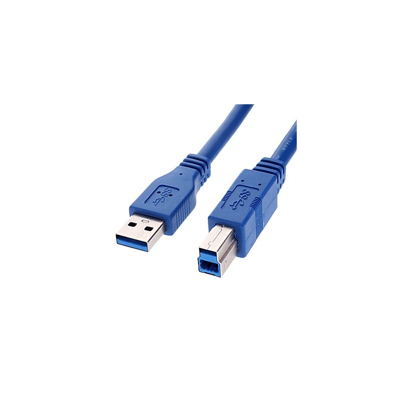 Câble USB 3.0 AM/BM 6"
