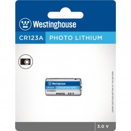 Westinghouse Pile Lithium...
